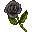 black-rose-icon.png