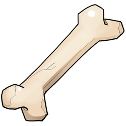 An ancient bone. Probably a femur from something.