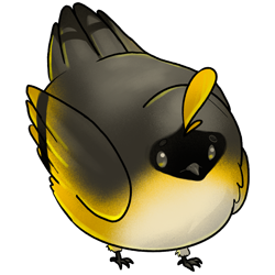 An extremely round bird, whose feathers are useful for crafting.