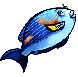 fish-blue-image.png