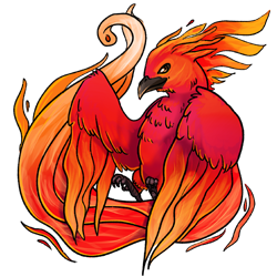 phoenix4-image.png