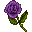 purple-rose-icon.png