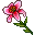 An audacious flower