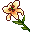 white-lily-icon.png