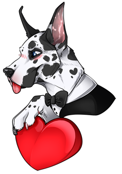 A great dane with black and white spots, wearing a very formal black and white tuxedo complete with bow tie. He is holding a red heart valentine card.