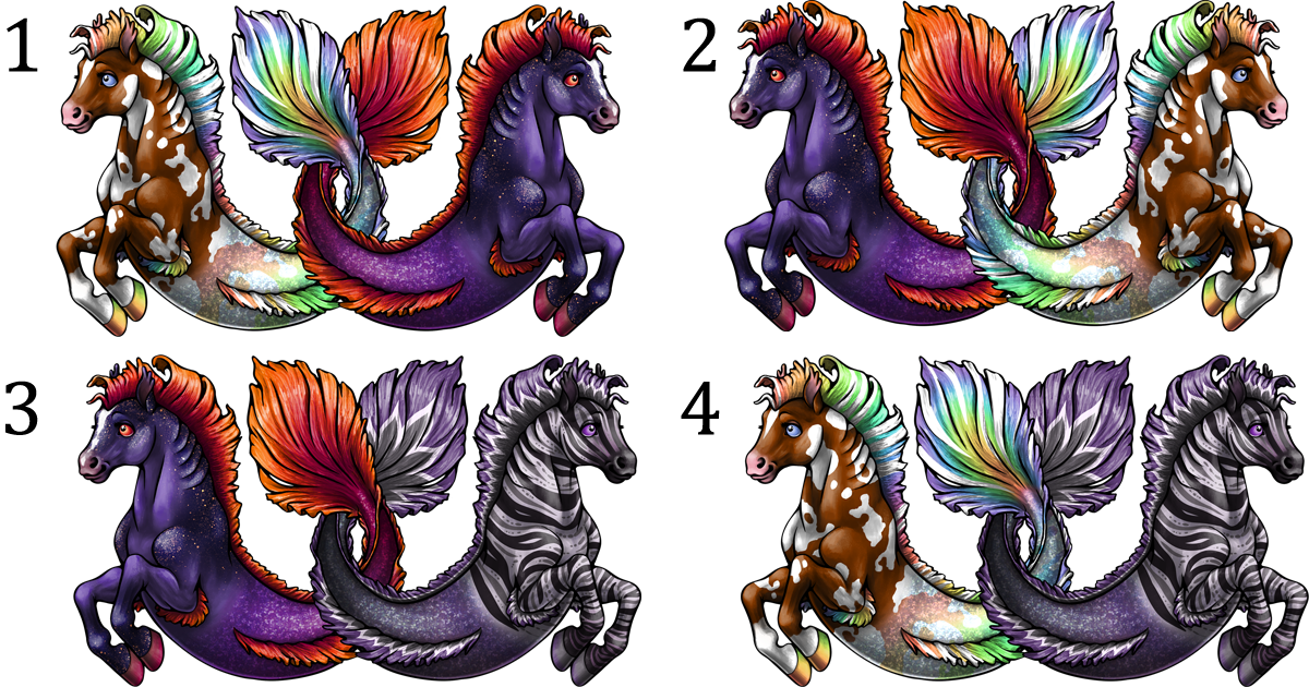 Design #1 - A rainbow hippocampus crossing its tail with a twilight hippocampus. Design #2 - A twilight hippocampus crossing its tail with a rainbow hippocampus (reverse of previous design) Design #3 - Twilight Hippocampus crossing its tail with a Zebra Hippocampus Design #4 - A rainbow hippocampus crossing its rail with a zebra hippocampus