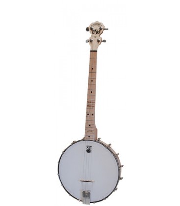 A 19 fret Irish Tenor banjo. It's a special Dropkick Murphys Edition. It's purchase was completely legal. He also plays 5-string banjo.