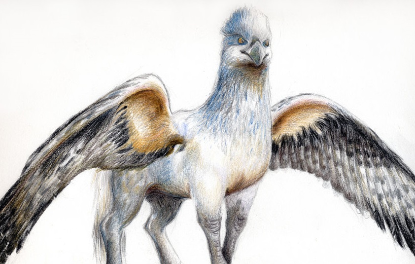 Bradley's pet Hippogriff, "Pip".