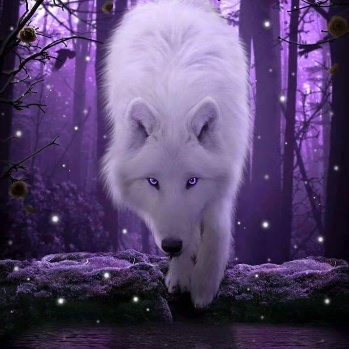 Wolf Form