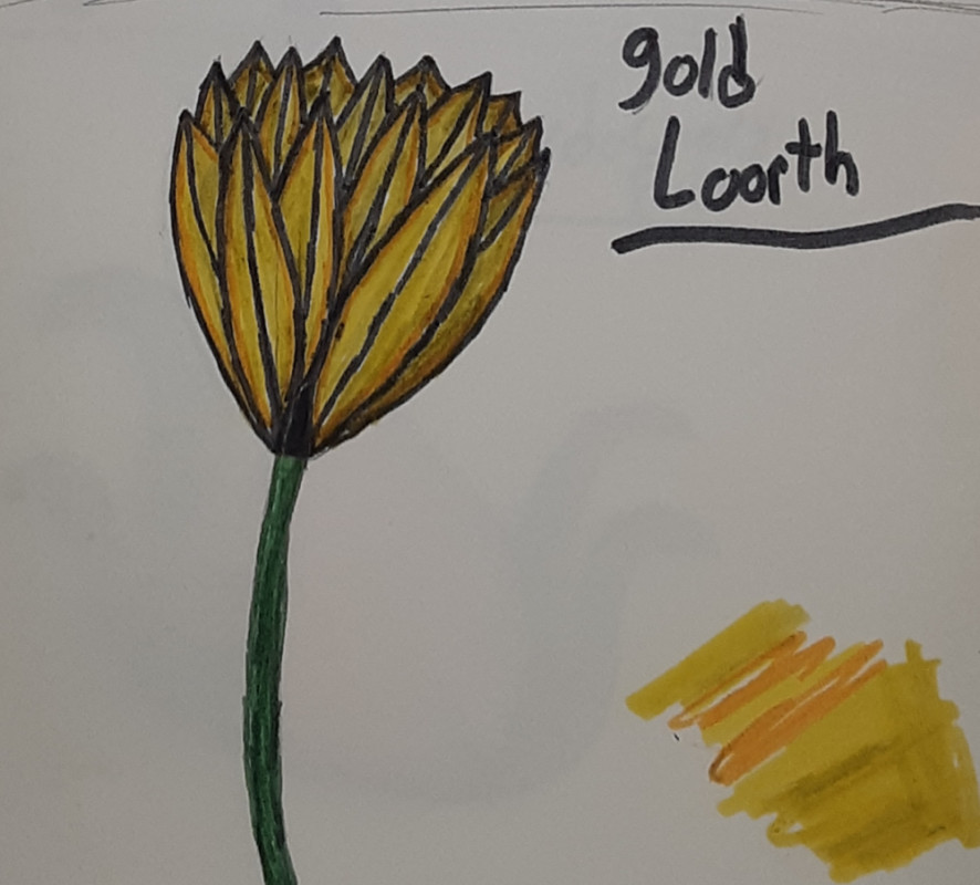 Gold loorth's grow around very dark areas. They have been known to help people get out of forests and other places. They've been nicknames the glow flower