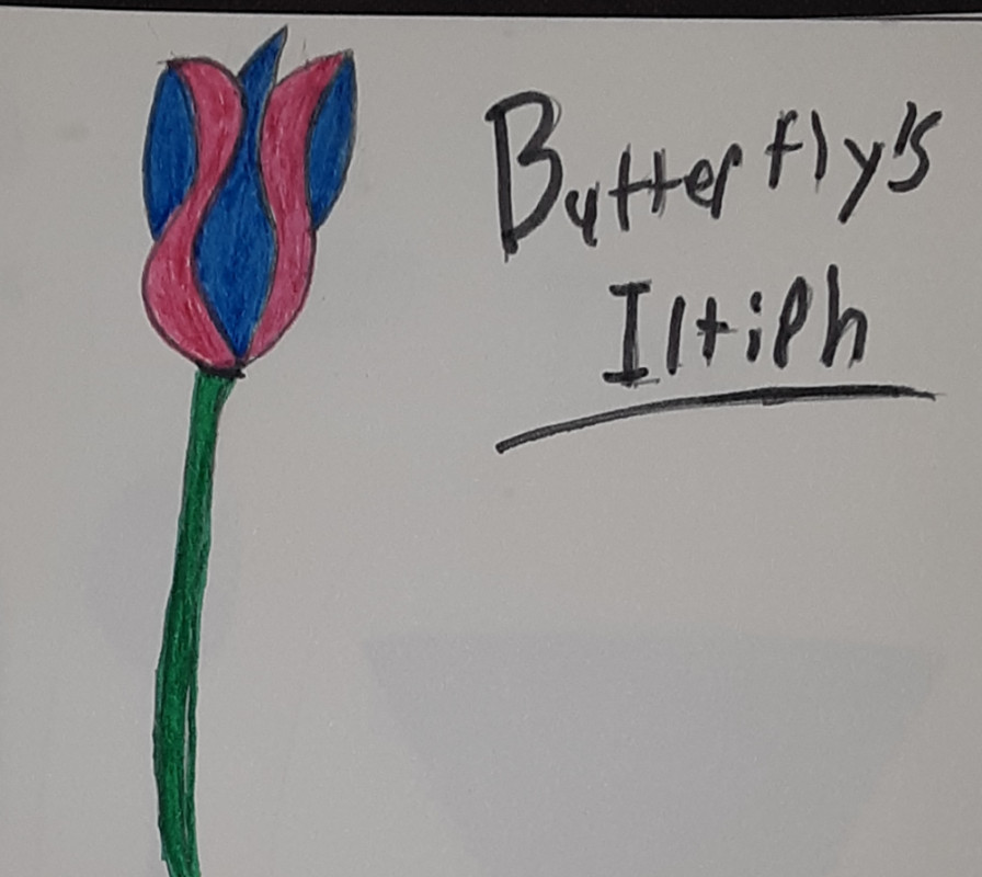 Butterfly's iltiph is a very rare flower. Its known to grow around soul lake only. They normally sprout when a new relationship has been bonded by marriage.