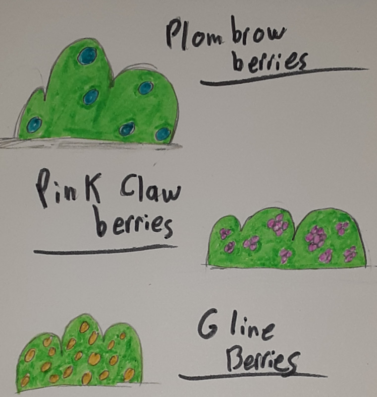 Plombrow berries are safe and edible berries. Either you like then or hate them. They're is no in between with these. Pink Claw berries are edible but do have various effects. Effects range from hallucinations, light headaches, dehydration, and many other