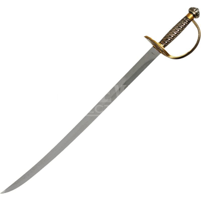 His swords. Dual wielded cutlasses