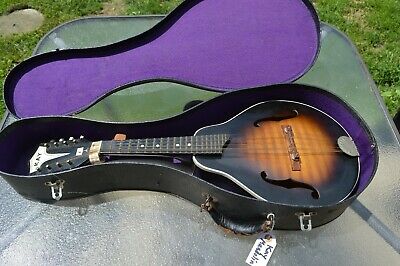 A vintage 60s Kay mandolin.