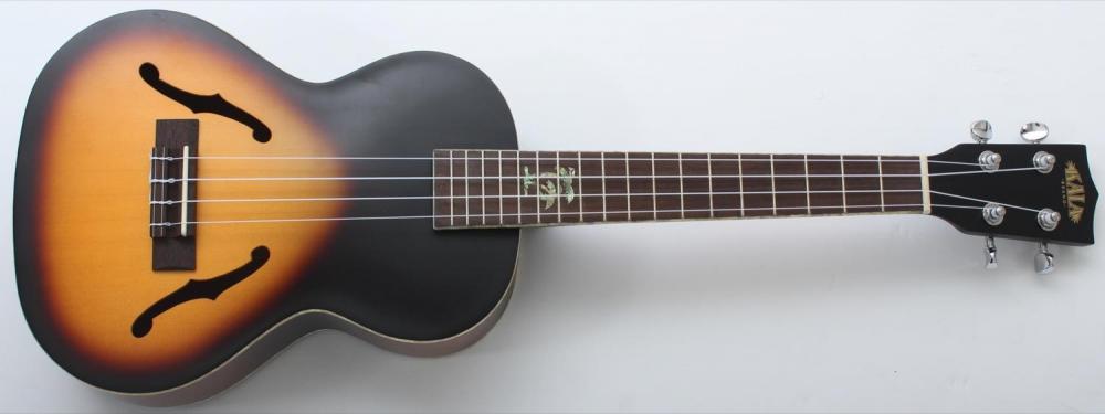 A kala archtop tenor uke. Its acoustic-electric.