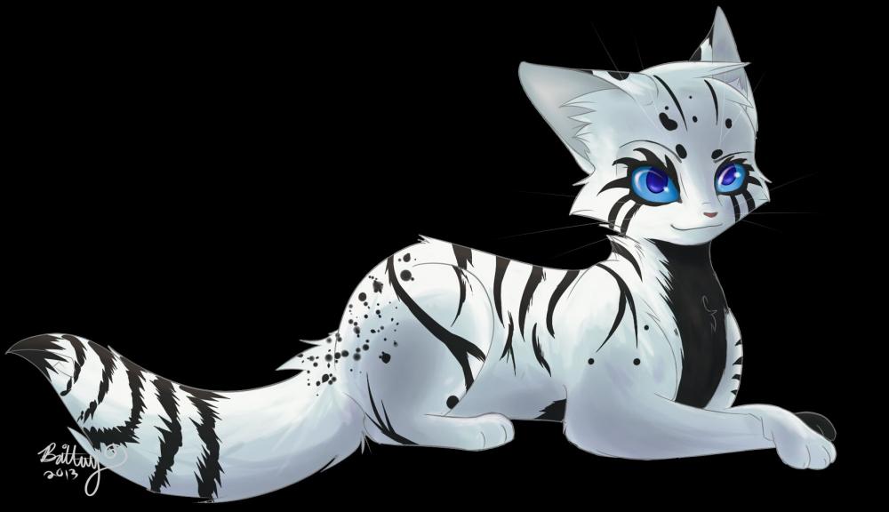 Snowpaw. Age: 10 moons