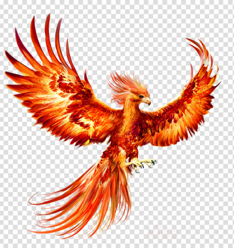 Phoenixes are described as birds with colorful plumage and a tail of gold and scarlet. This form can be held with little to no energy loss.