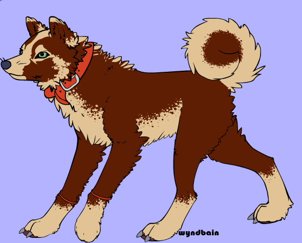 Dog form