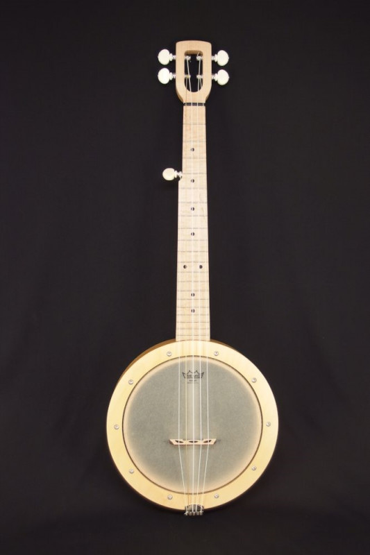 A 5 string model