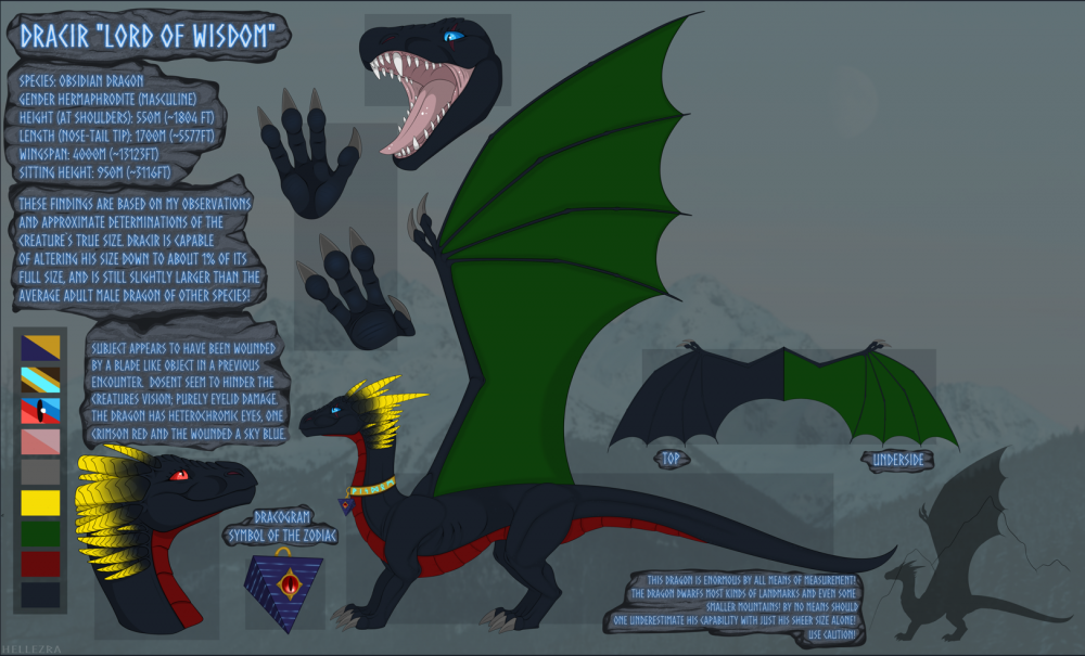The canonicall accuret Refsheet of Dracir