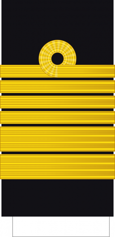 Sleeve insignia for a Daigensui-kaigun-taishō