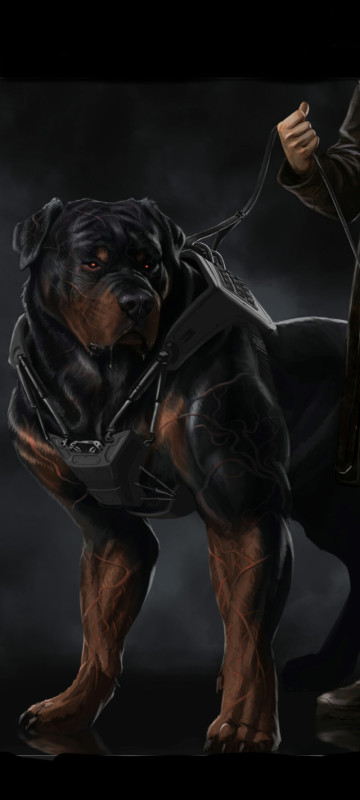 Callyn's hell hound named Asmodeus