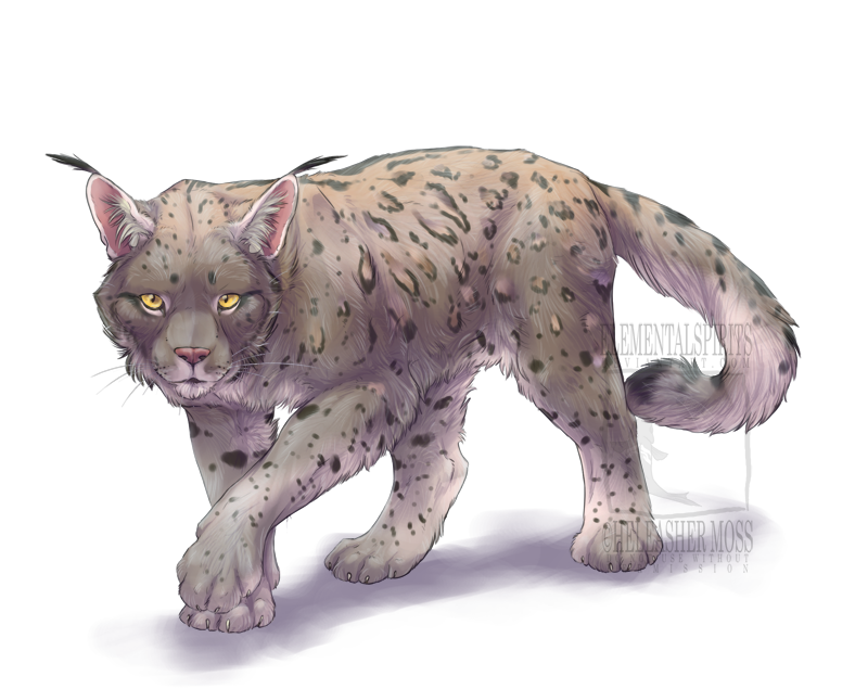 Lynx form