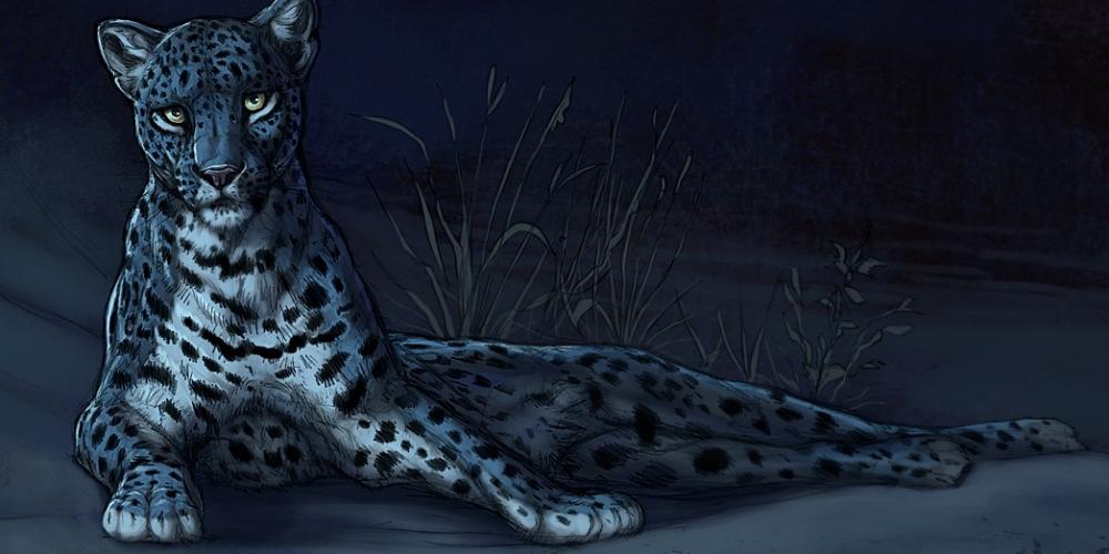 Leopard Form