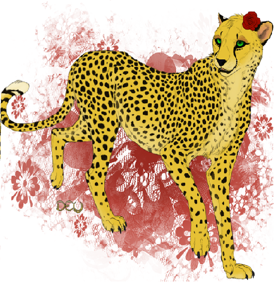 Cheetah Form