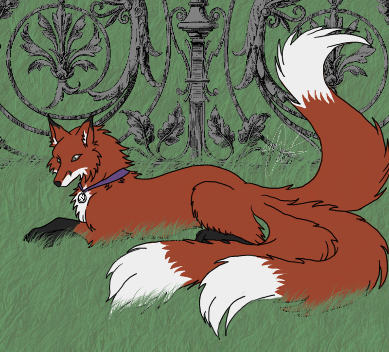 full fox form