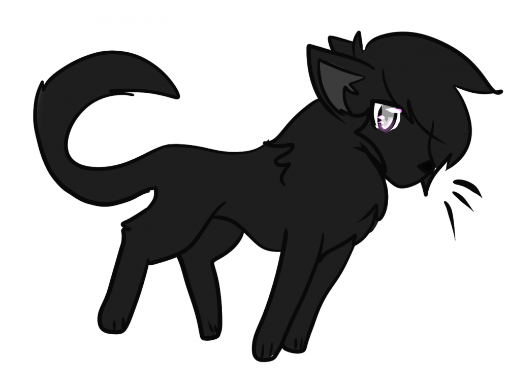 I can't draw cats ;_;
