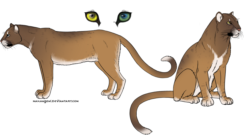 Sevan -- male cub!