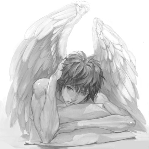 Tagas with his wings out