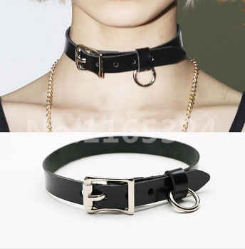 All owned pets wear a collar similar to this one that has a tag identifying their owners on it.