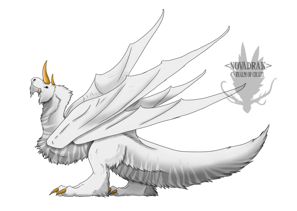 Novadrak is in response to his mate's lavadrak. Came out as a white four-winged nova due to his daemon.