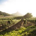 Plenty of food can be found at Lakeside Farm - gardens, livestock, they seem to have it all!