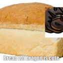 a crop of the Gila Dragon's face onto a photo of a loaf of bread, with the caption "Bread Lof dragon is cute"