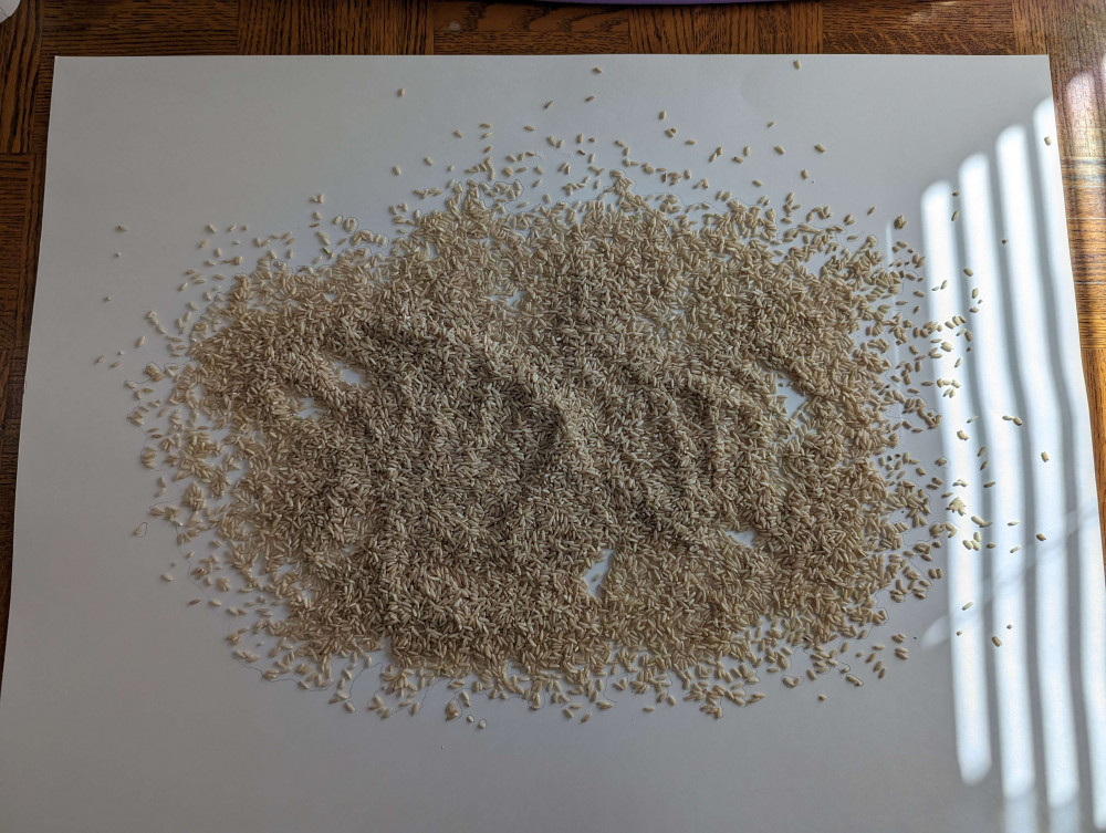 Photo of rice poured onto large piece of poster paper