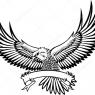 Located on his chest, with the banner [i]Cum Enim Alis Volare[/i], 'With Wings We Fly'