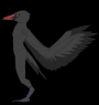 Why yes, he does have arms as well as wings.  Side view of anatomy/markings/coloration.