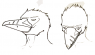 More practice.  I call these smug and smoulder.