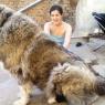 Size and Fluff