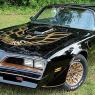 1977 "Bandit" Special Edition Pontiac Firebird Trans Am