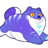 rah's pet dog-fish (pomeranian x shark)