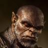 The oldest and wise Orc alive; he acts as Koragâ€™s adviser and council.