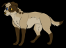 Points of Interest: His eyes- Right is Blue, Left is Gold. His markings- The spots on his face, going down his neck, are an important part of his design. His stockings reach his elbows (front) and ankles (hind) with a dark tip on his tail. No spots on the