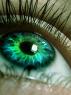 Morgayne's eyes in poor human and natural forms.
