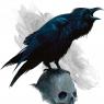 A little larger than the average raven, only Hex can understand the creatures words
