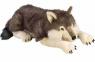 A wolf plushie that Hunter carries everywhere!