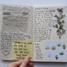 It was obvious from uneven spaces between the pages that it was packed with various items. Pressed plants, faded newspaper clippings, even the occasional piece of metal and strip of fabric were glued or tied straight to each page.